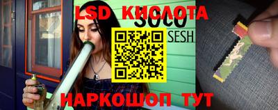 твердый Будённовск