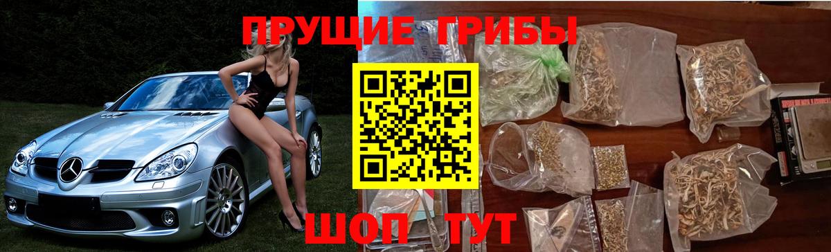 Галлюциногенные грибы Psilocybine cubensis  Вход с VPN  Рубцовск 